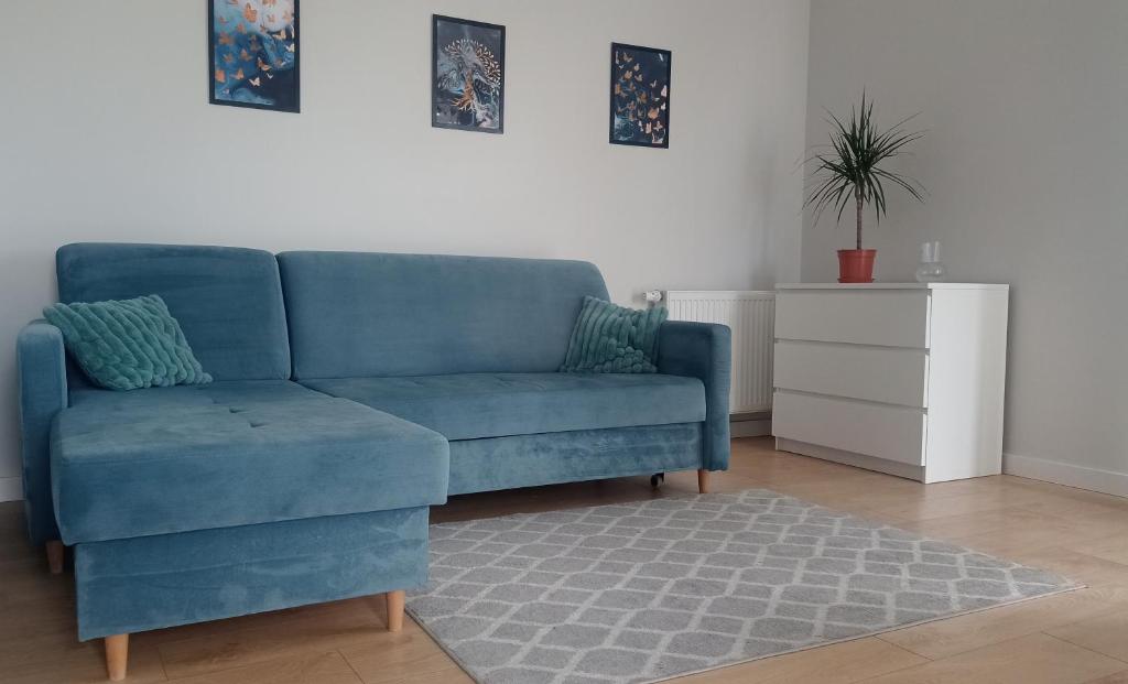波兹南Apartament targowy的客厅里一张蓝色的沙发