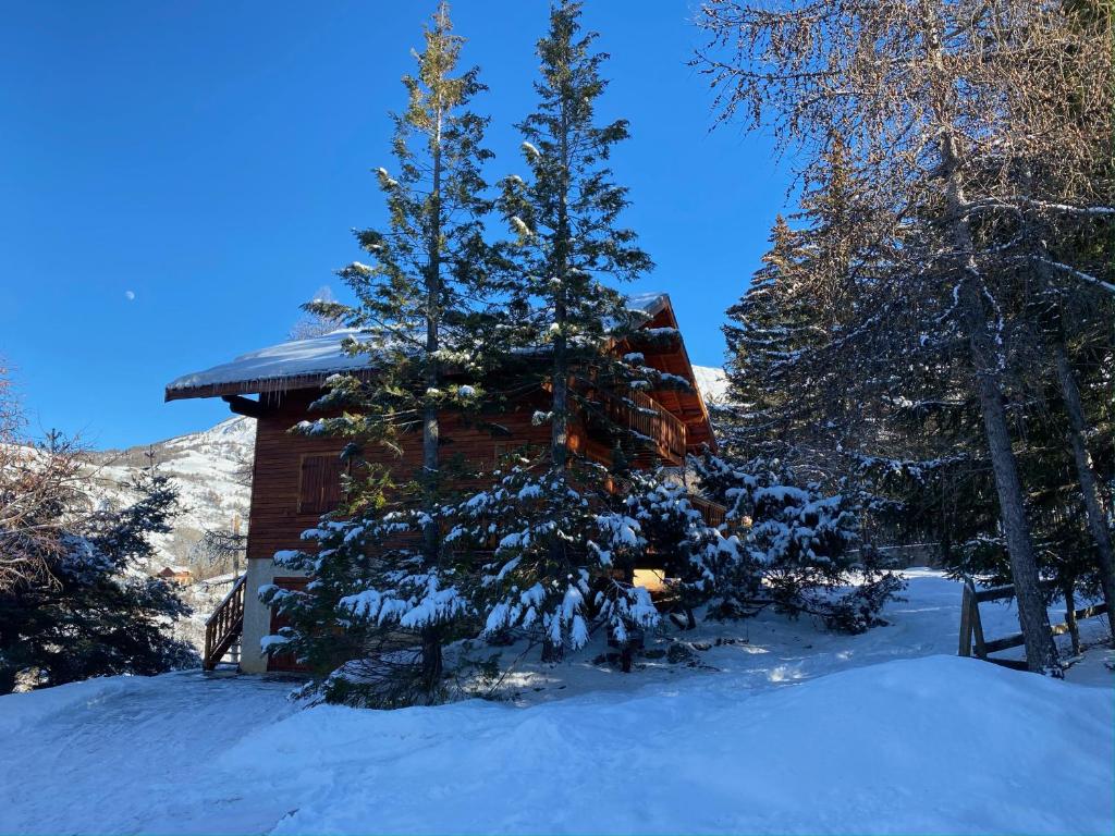 EnchastrayesLe refuge, chalet au pied des pistes au Sauze的小屋前面有一棵雪覆盖的树