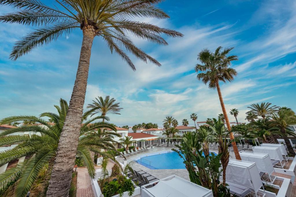 拉皮内达Oassium Hotel - Adults Only的享有游泳池和度假村棕榈树的景致。
