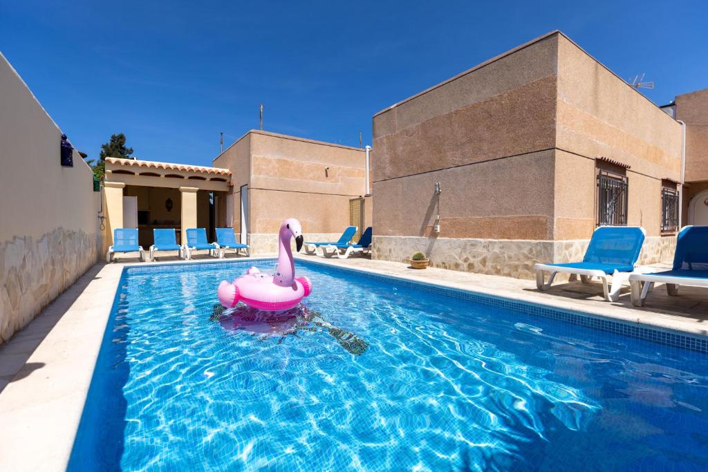 圣何塞德萨塔莱阿Villa Roberto Ibiza的游泳池,水中有粉红色充气鸭