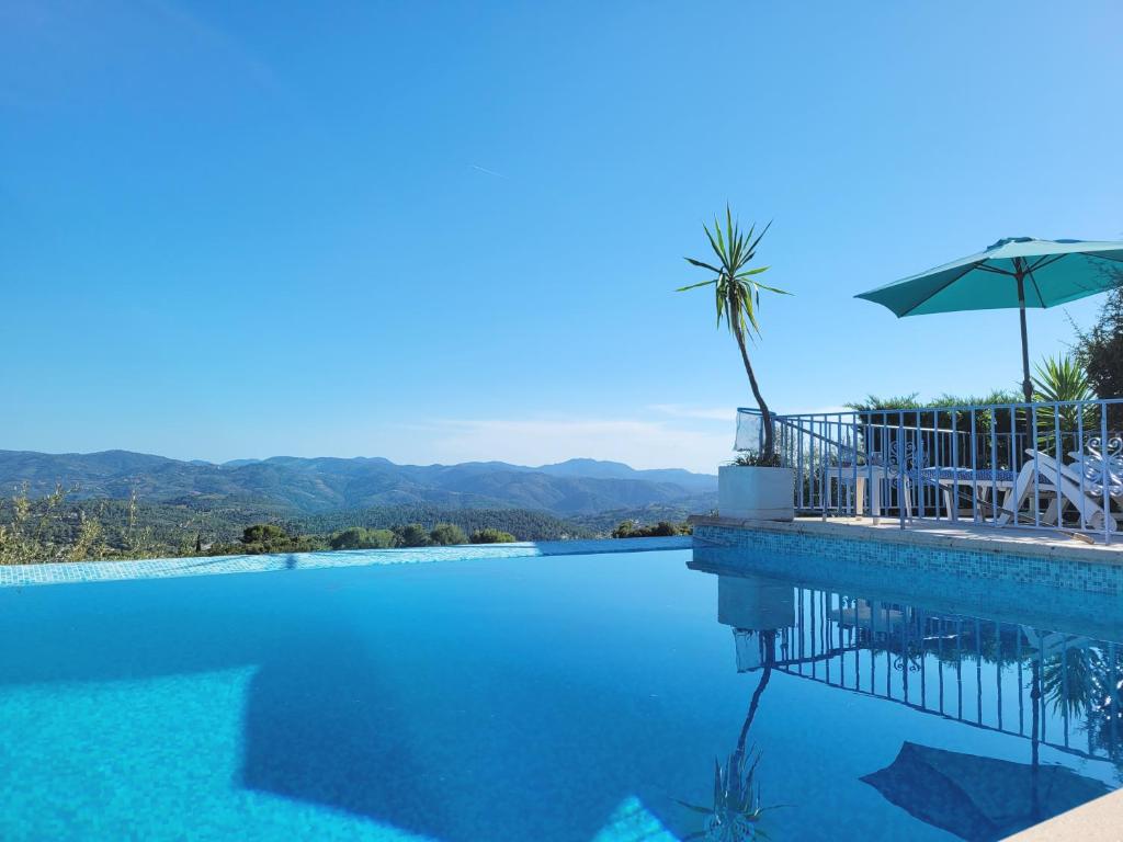 SpéracèdesLes Volets Bleus的一个带棕榈树和遮阳伞的游泳池