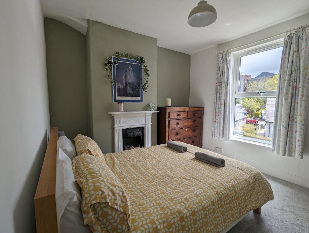 兰贝里斯Perfect for Snowdon. Groups, families+dogs welcome的卧室配有床、壁炉和窗户。