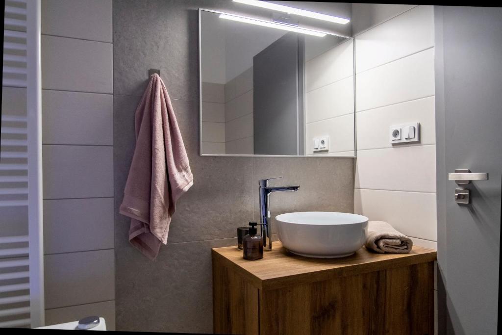 特日内茨Samoobslužné Apartmány Evičenstvo的一间带水槽和镜子的浴室