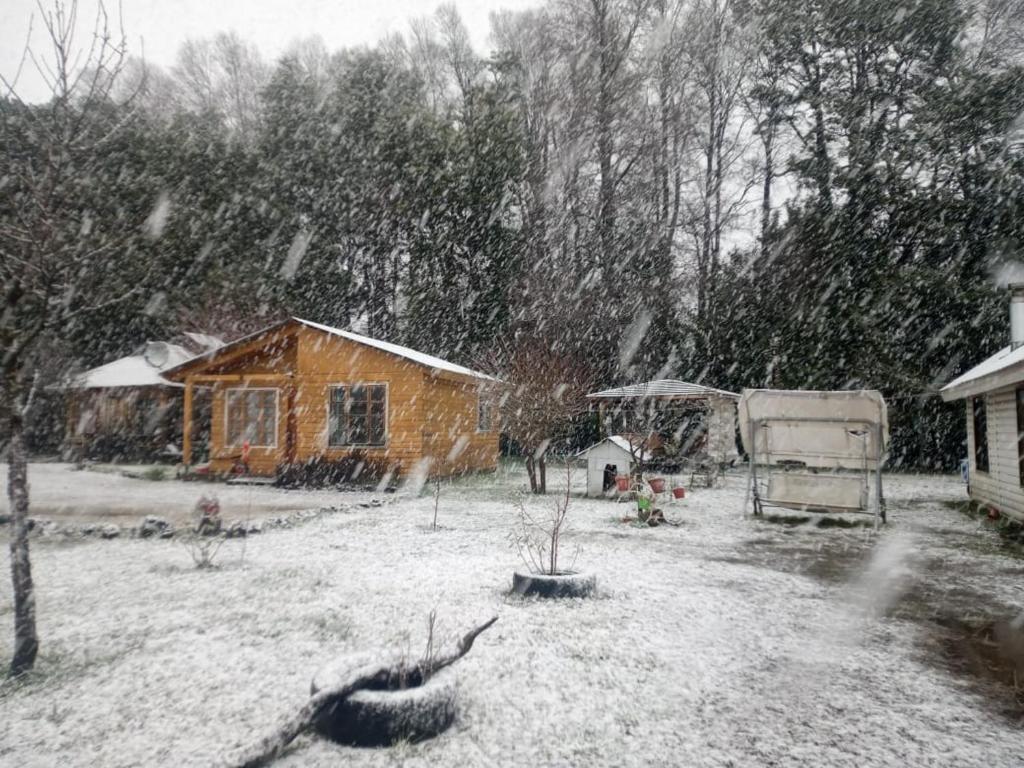 梅利佩乌科Cabañas el Estero的雪覆盖着房子的院子