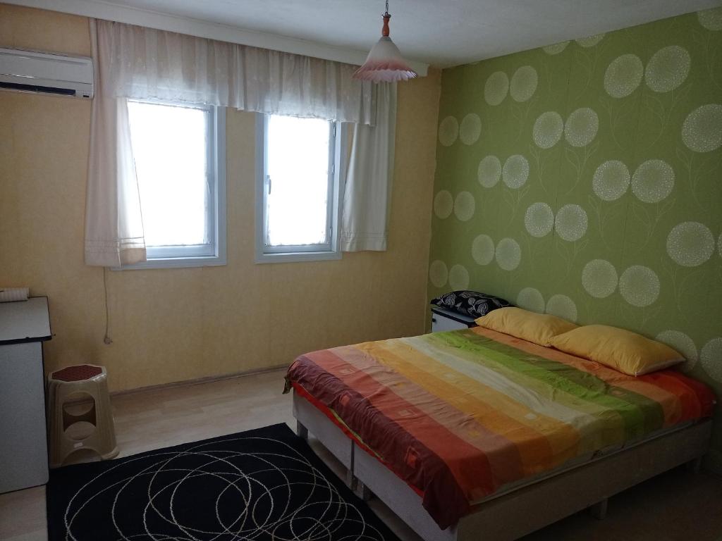 达拉曼ESKA 121 airport的一间设有床铺的卧室,位于一个拥有绿色墙壁的房间