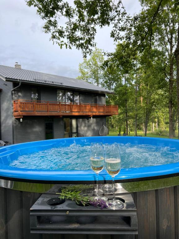 马多纳Sniegi Apartments with sauna的两杯葡萄酒坐在热水浴缸中