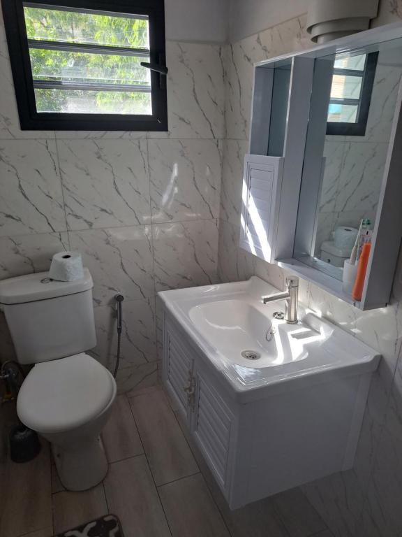 图利亚拉le tamarin的一间带水槽、卫生间和镜子的浴室