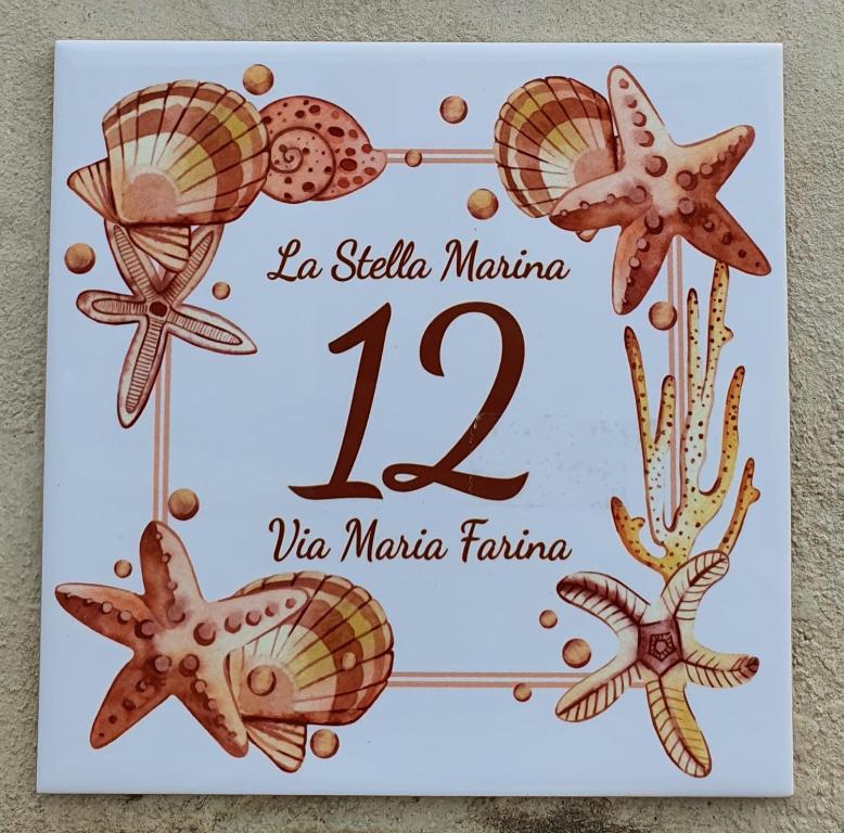 巴里萨尔多La Stella Marina的邀请婚礼,邀请包壳和章鱼