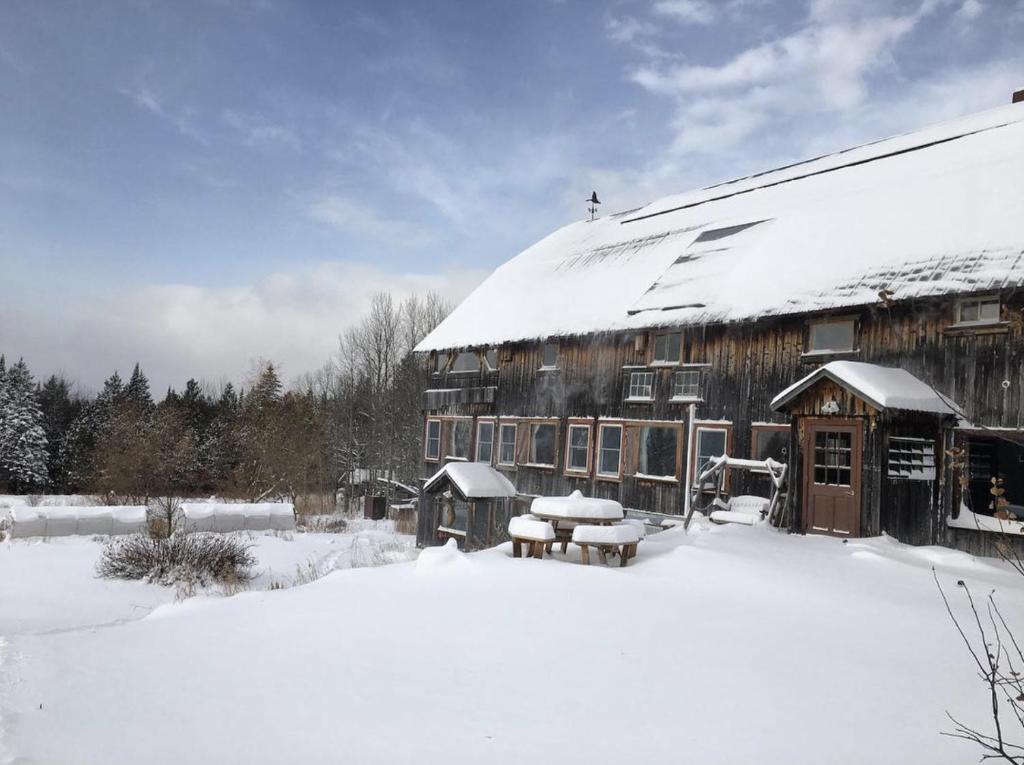 HardwickRenovated Barn 100 Acres For Retreats & Weddings的一座有雪盖的建筑,前面设有一张野餐桌