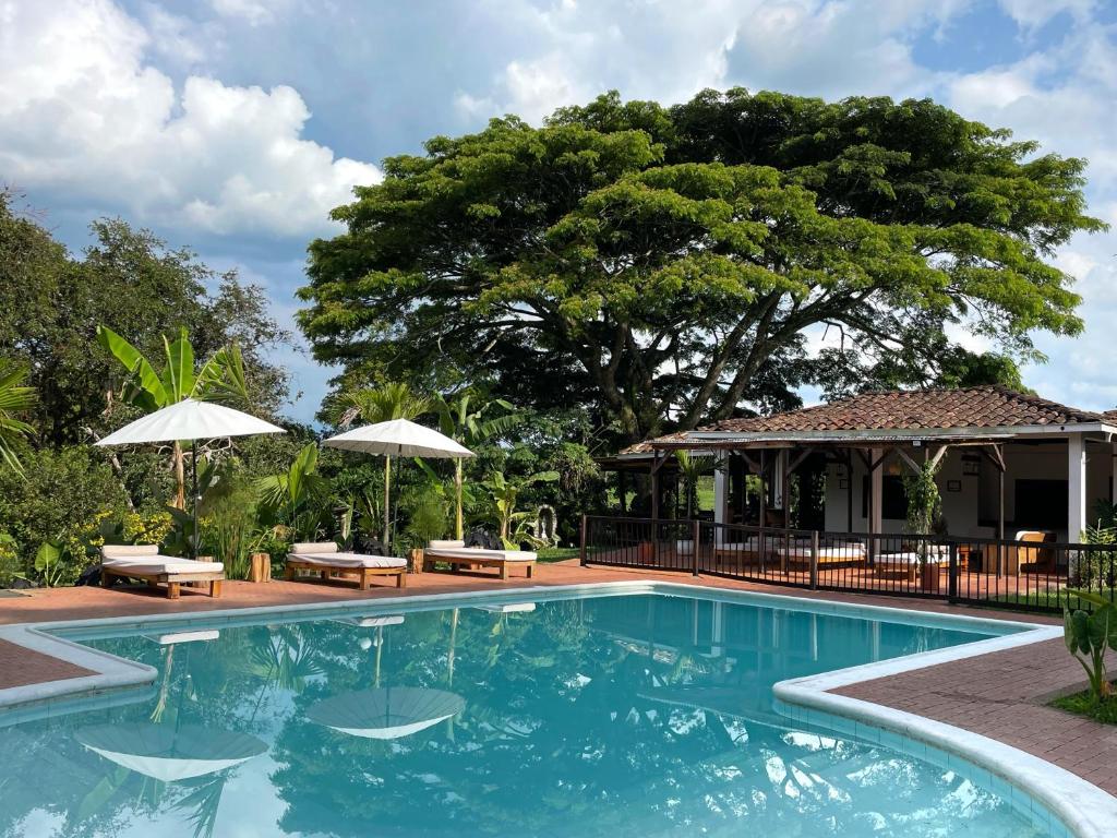 金巴亚MuchoSur Quimbaya的房屋旁的游泳池配有长椅和遮阳伞