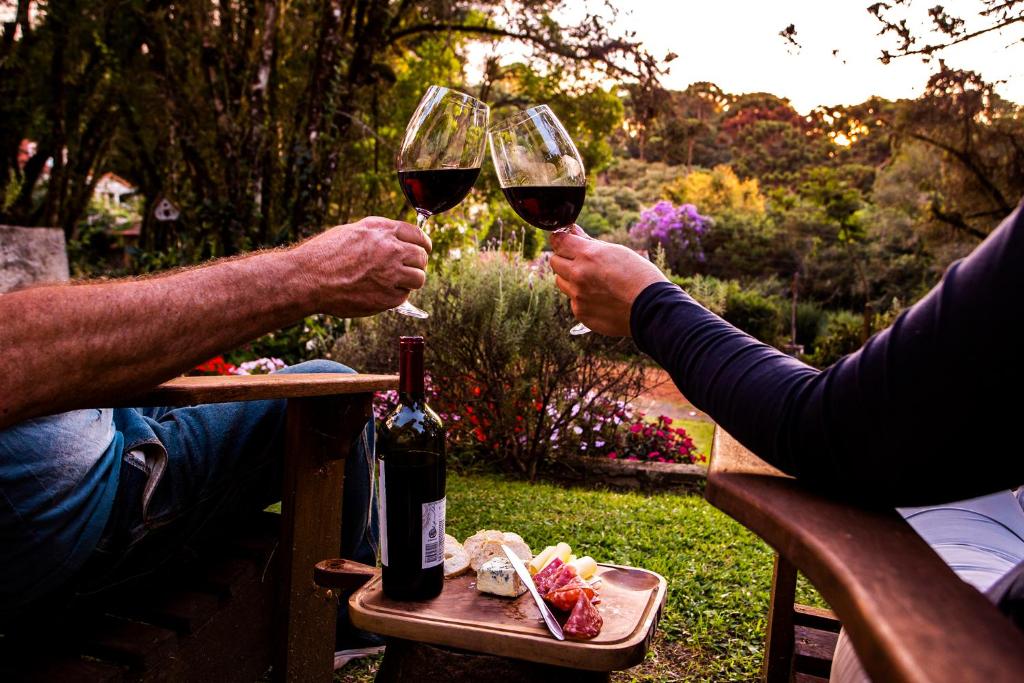 蒙特韦尔迪Pousada Vila Suiça - Monte Verde的两个人在野餐桌上喝葡萄酒