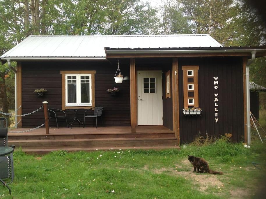 韦姆达伦Mysig liten stuga i Vemdalen的小屋前面有一只猫