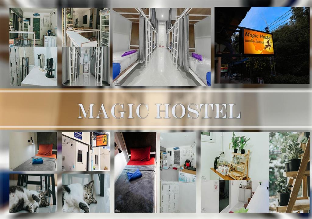 皮皮岛Magic Hostel的魔术医院照片的拼合