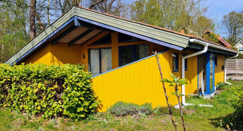 格拉尔-米里茨Ferienhaus Waal Hus的蓝色屋顶的黄色房子