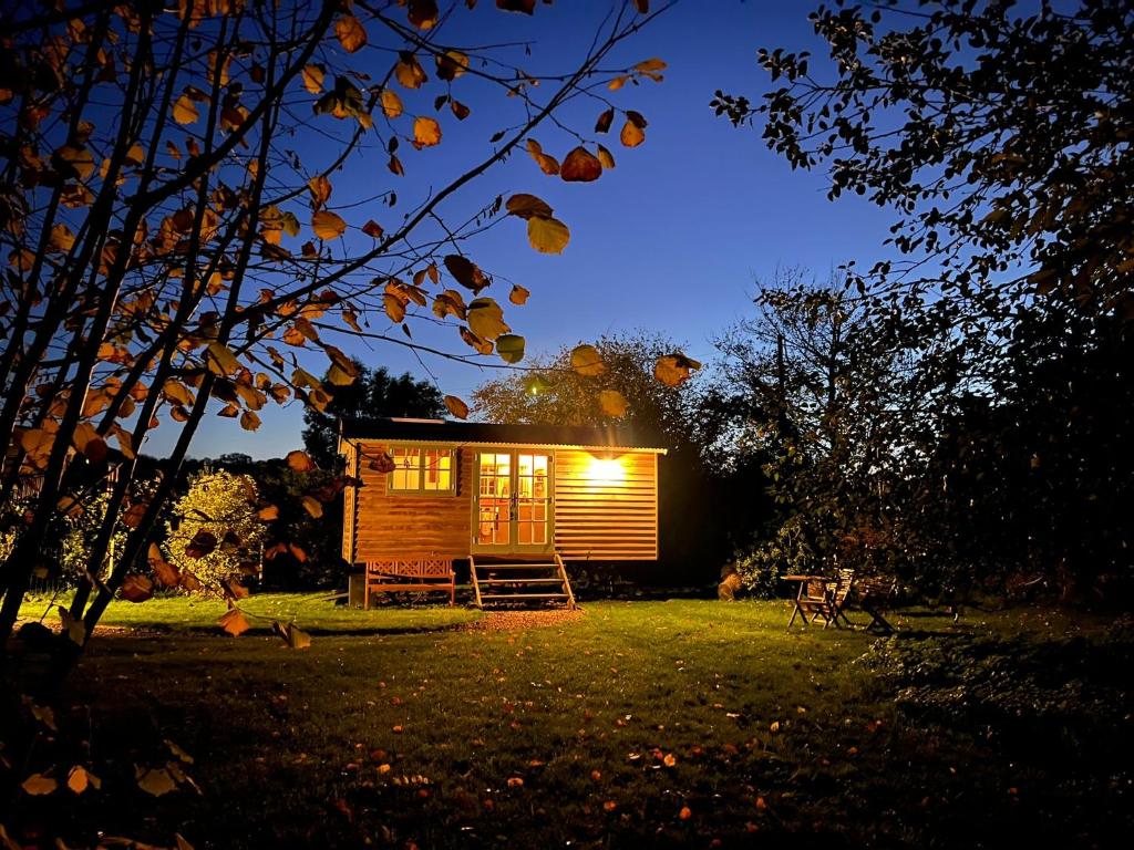 PewseyCocklebury Farm的夜间在院子里放灯的小小屋