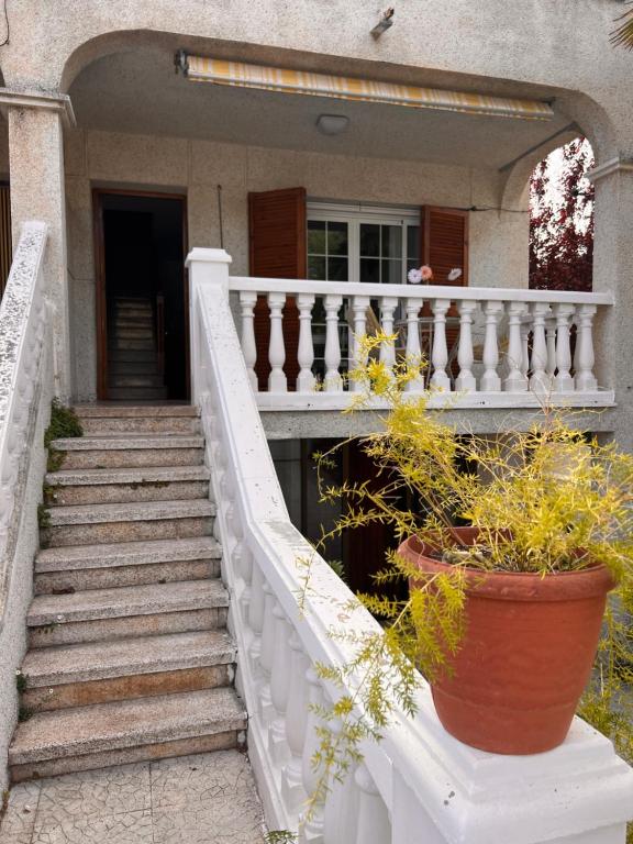 库尼特Playa home的一座带楼梯和盆栽的房子