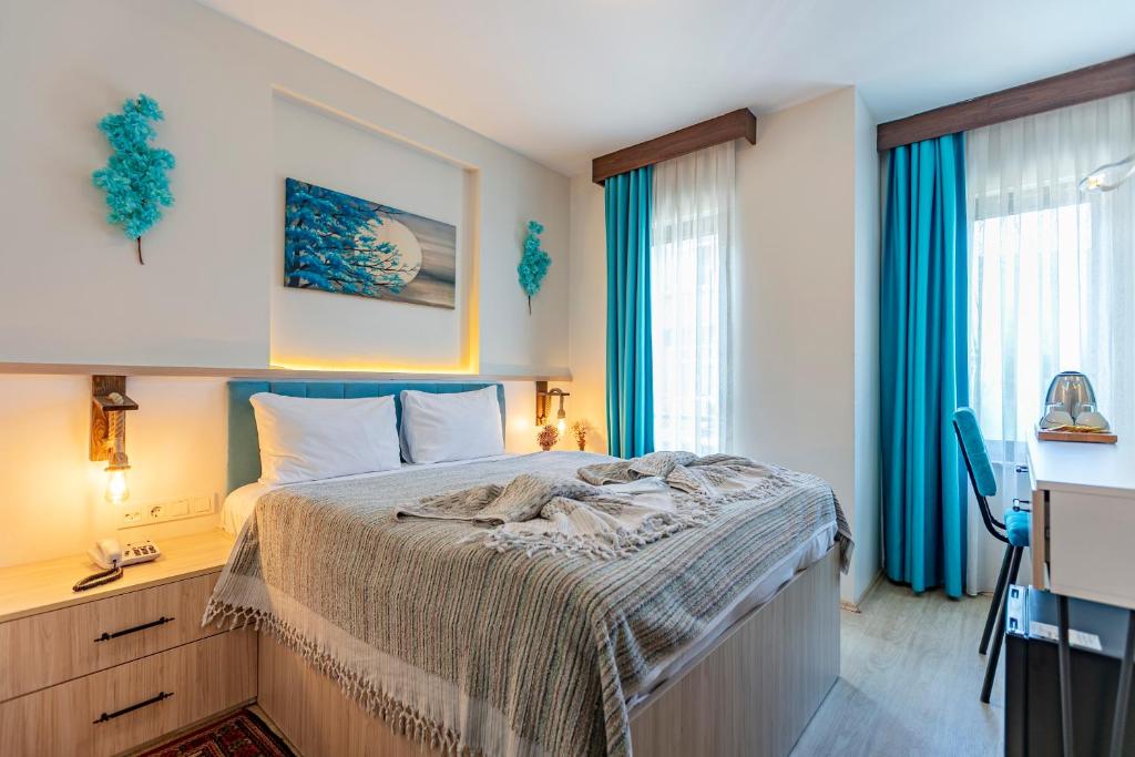 伊斯坦布尔斯坦珀丽旅舍的卧室配有一张床、一张书桌和窗户。