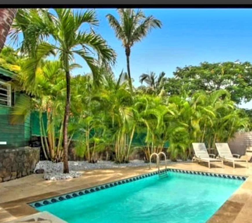 东方湾法国大街Mahi-Mahi Lodge, piscine privee, orient bay的棕榈树庭院中的游泳池