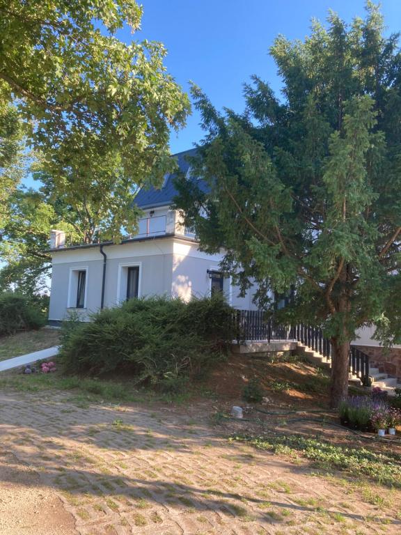 雷夫菲勒普Villa Philip Noir的白色的房子,有栅栏和树木