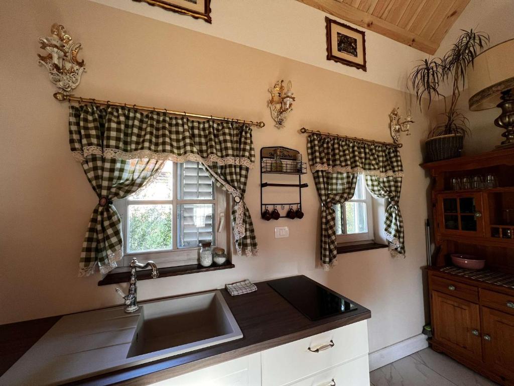 Ivančna GoricaEdenski vrt的厨房设有水槽和窗户。