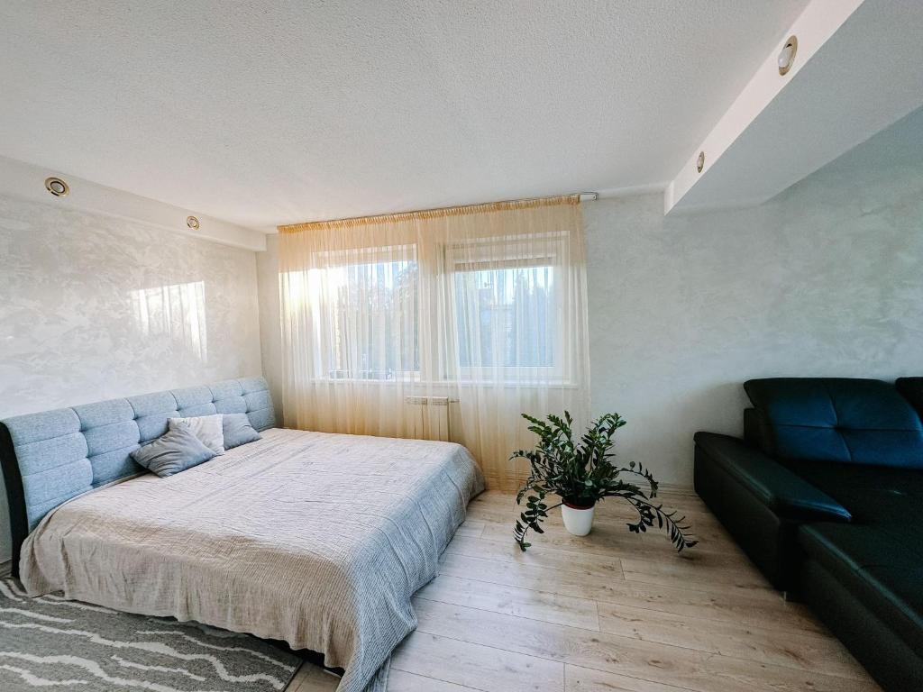 Grobiņa100SaulesVikingi的一间卧室配有蓝色的床和沙发