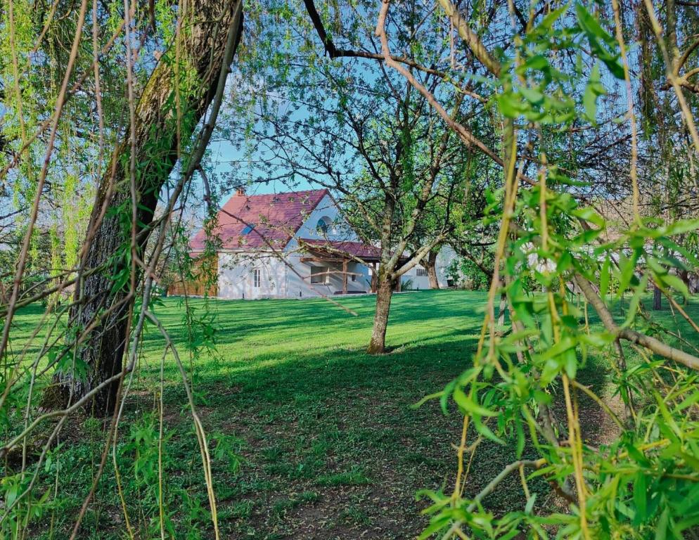 Saint-Loup-GéangesDomaine Saint Loup - Gîte "Le Petit Loup" - 6 pers- 10min BEAUNE的相册照片