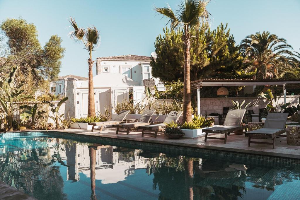 阿拉恰特ARTOTEL的一座带椅子和棕榈树的游泳池,毗邻一座房子
