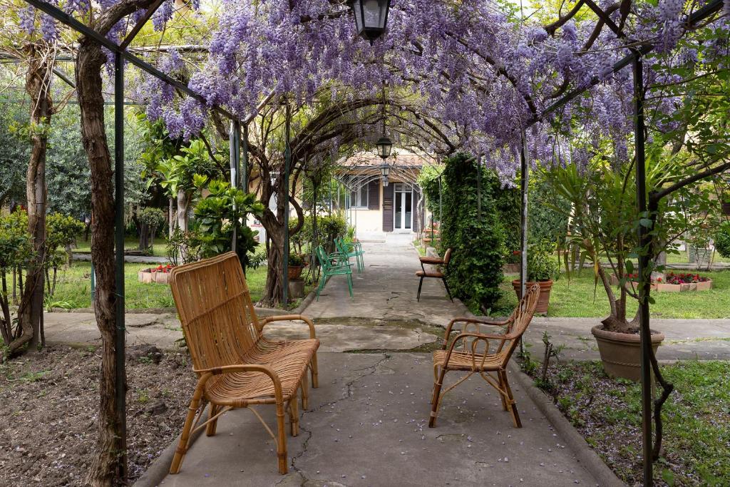 佛罗伦萨Antica Dimora Sant'Anna的两把椅子坐在一个紫色紫色的树 ⁇ 下