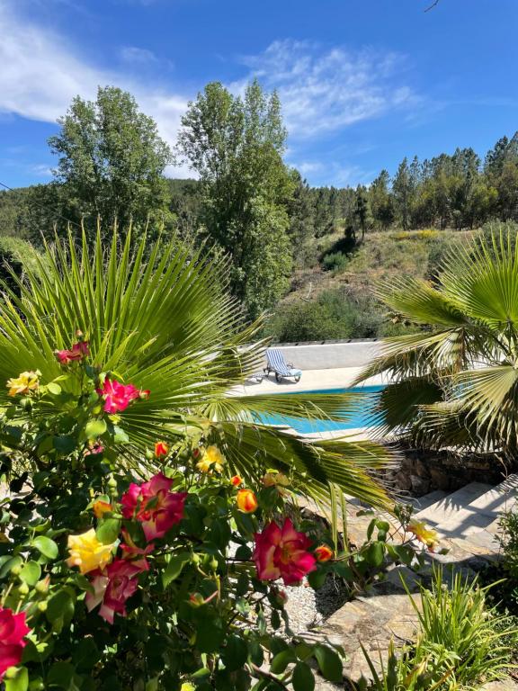 马尔旺Casa Pollard的鲜花盛开的花园和游泳池