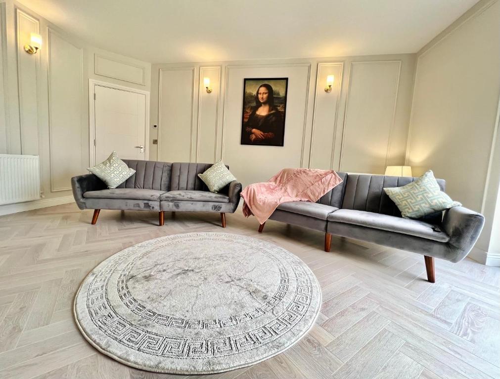 拉托特Gems in Ratoath的带沙发和地毯的客厅