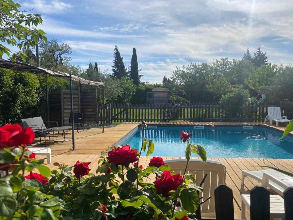 萨尔里昂Fanchon des Sablons的院子里的红色玫瑰游泳池