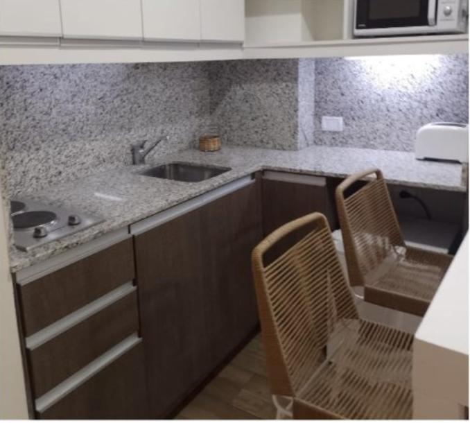 布宜诺斯艾利斯2 ambientes moderno y muy bien ubicado的厨房配有水槽和两把椅子