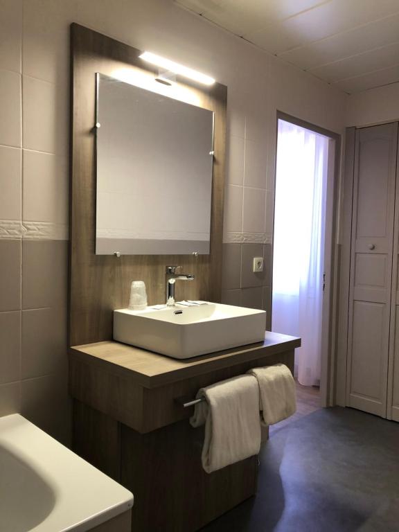 帕米耶霍伊高赫蒙酒店的一间带水槽和镜子的浴室