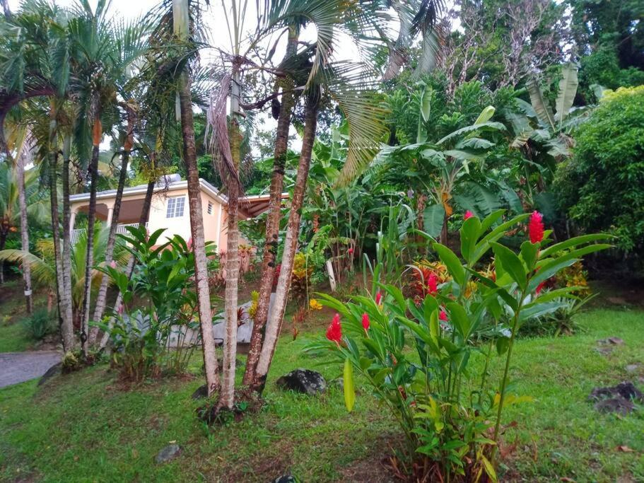 勒拉芒坦Martinique La petite maison dans la Colline的一座种有棕榈树的花园