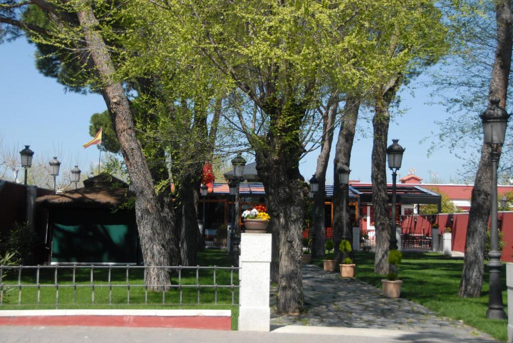 圣阿古斯丁-德瓜达利克斯Hotel Casa José Díaz的公园里一排树木,有一座建筑