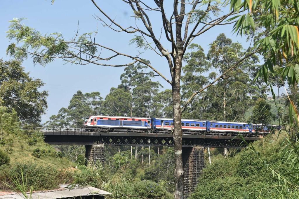 纳奥亚Ansi Villa的森林桥上的火车