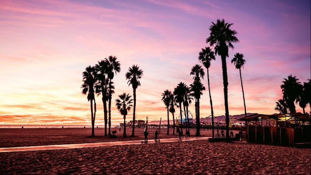 洛杉矶Casa Playa - Modern, Stylish, Spacious, Gated Entry, Rooftop Pool - BEST LOCATION - 4 BLKS to Ocean Avenue的海滩上的棕榈树群,日落