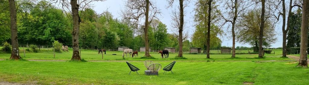 FormerieGite Haras du Bois de Formerie的两把椅子放在一个有马的场地上