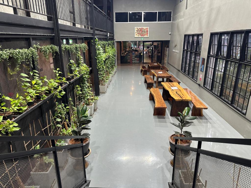 Premier Hostel Chiang Mai餐厅或其他用餐的地方