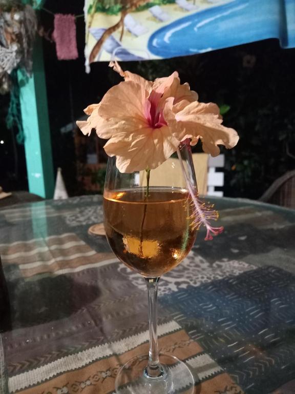 圣弗朗索瓦CABANE au Soleil by的一杯葡萄酒,里面装着一朵花
