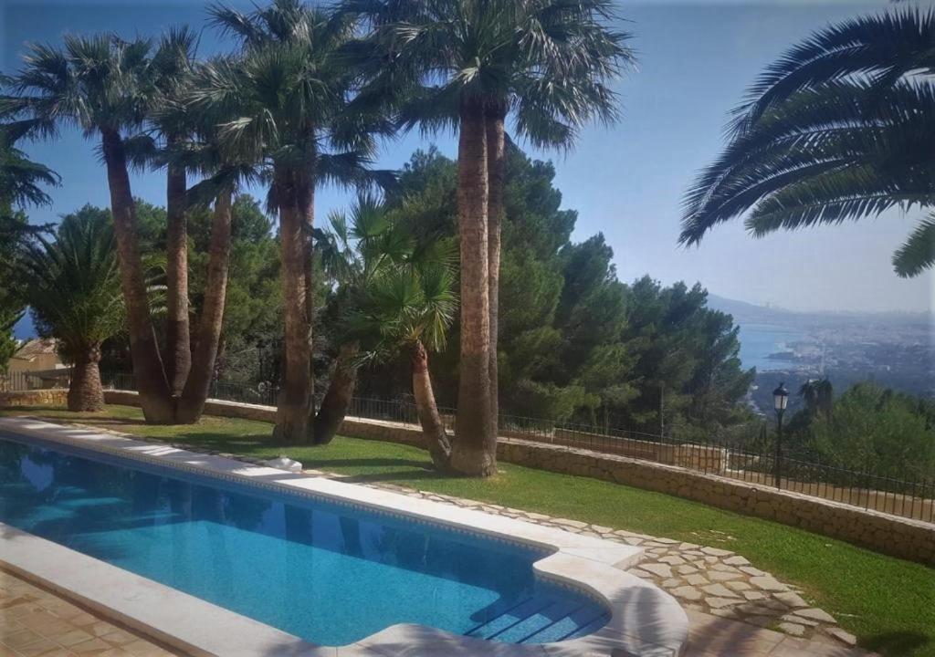 阿尔啼阿乐马尼亚别墅的一座棕榈树和海洋游泳池