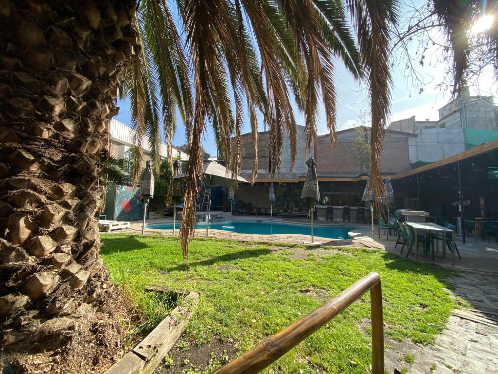 圣地亚哥拉卡莎罗亚旅馆的游泳池旁的棕榈树