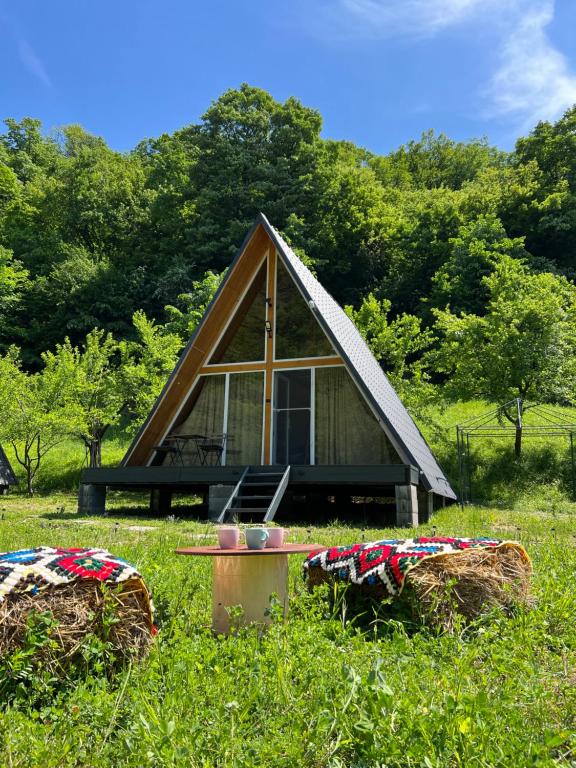 SviniţaCabane A-Frame Svinița的田间中的小小屋