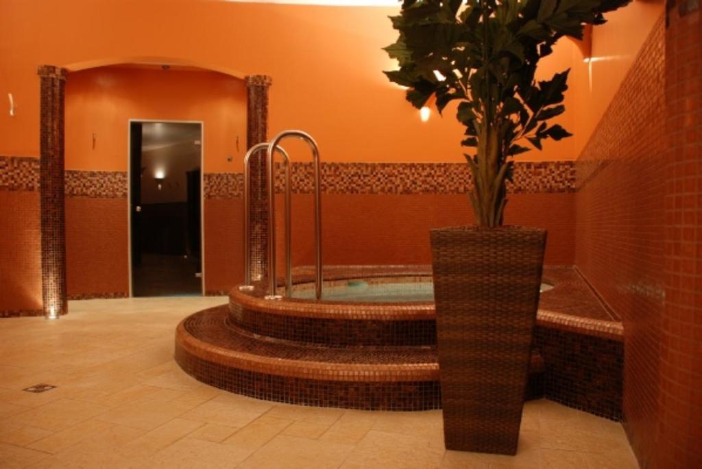 杜瑙森特米克洛什Hillside Apartman的浴室设有浴缸,花瓶内装有植物