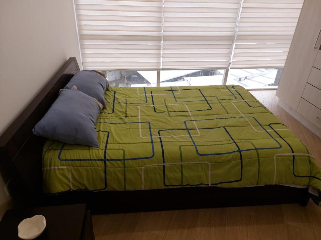 基多Departamento confortable en Quito的一张带绿毯的床和窗户