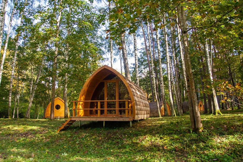 泰尔韦泰Meža namiņi Sprīdīši的森林中间的小小屋