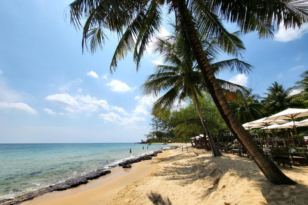 富国安卡琳海滩度假村的两棵棕榈树和大海的海滩