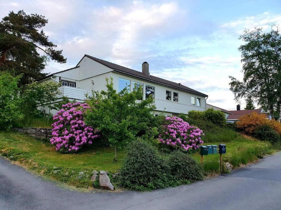 弗莱克菲尤尔Holiday home with seaview in Flekkefjord的前面有粉红色花的白色房子