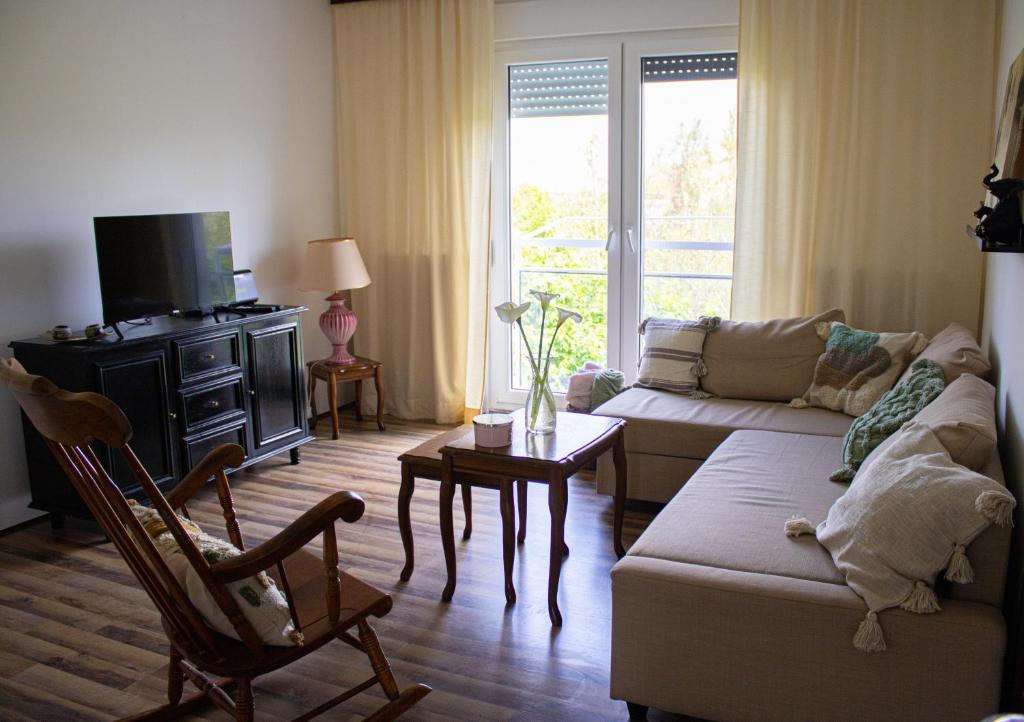 KikindaMileva apartman的带沙发和电视的客厅