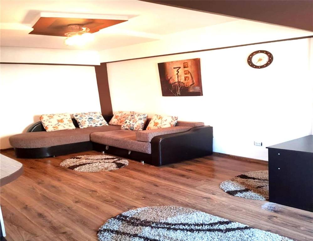 普洛耶什蒂Mercur Studio Ploiesti的带沙发和2个地毯的客厅